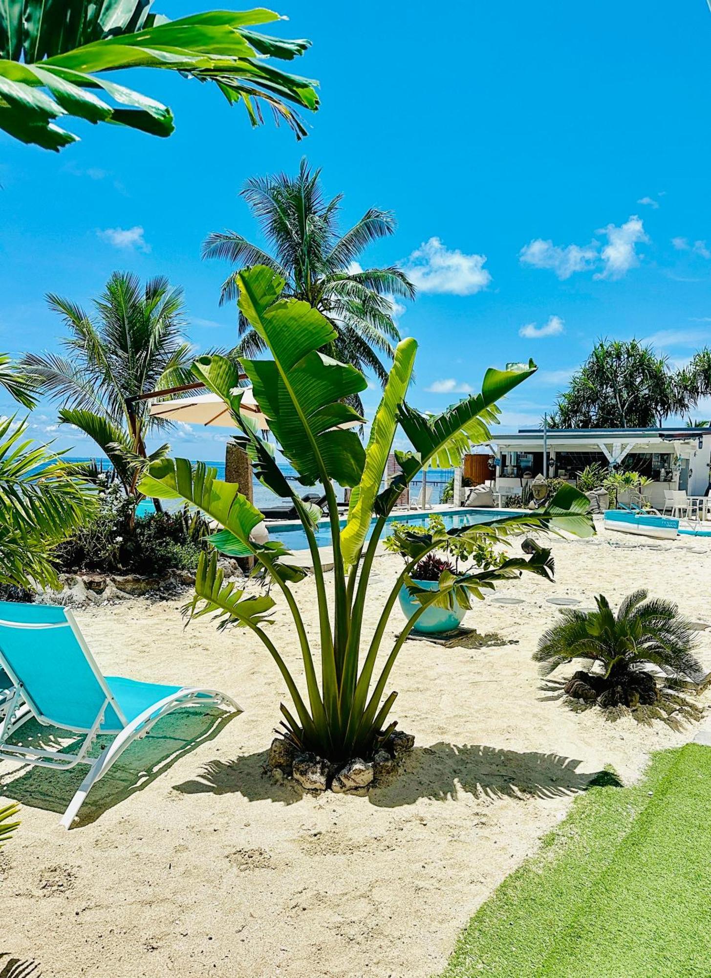 Pension Irivai, Appartement Rava 1 Chambre Bord De Mer Uturoa Buitenkant foto